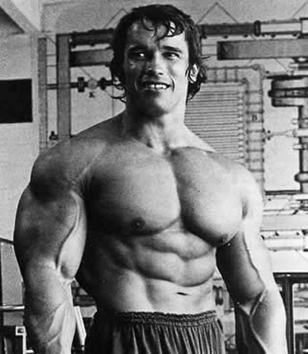 Photo:  Arnold Schwarzenegger 02